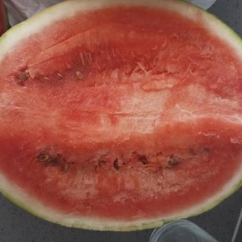 Bozuk Karpuz İçin İade Reddi, Müşteri Memnuniyeti Riski