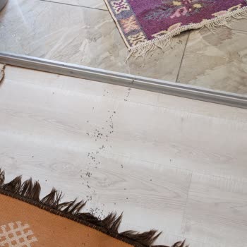 Wi-Fi Çalışmayan, Karıncalı Ve TV'siz Dairede Çözüm Bulunamayan Misafir