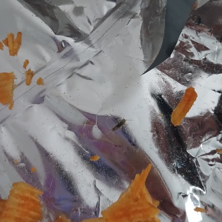 Cipso Ketçaplı Cipste Böcek: Sağlık Endişesi Ve Açıklama Talebi