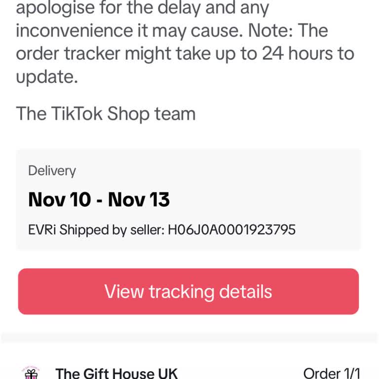 Cannot Log into My TikTok Account Due To Me Not Knowing My Password