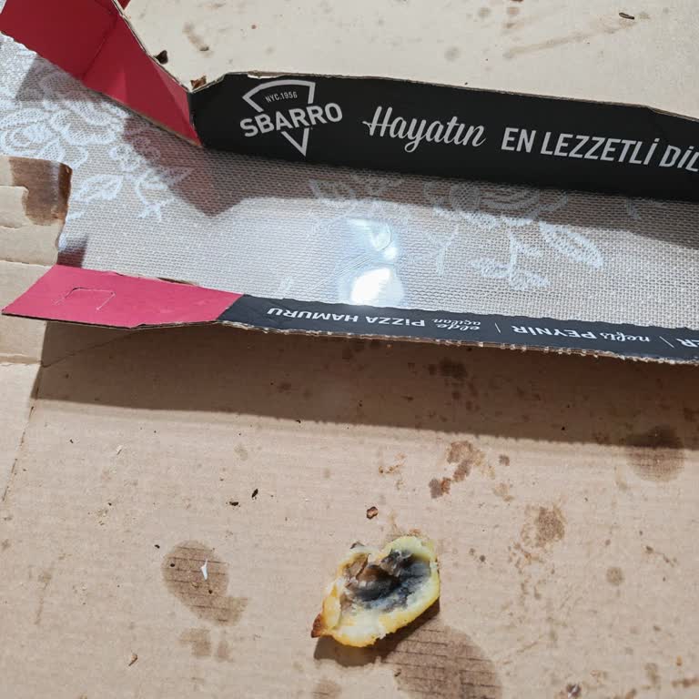 Geç Gelen Ve Bozulmuş Patatesler İçin Ücret İadesi Talebi
