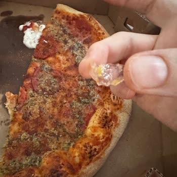 Domino’s Pizza’da Plastik Parça Bulunması Ve İade Talebi