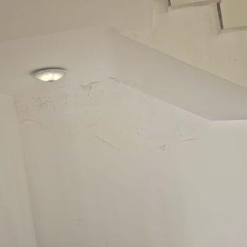Oda Temizliği Ve Hijyen Eksikliği Gecikmeli Müdahale
