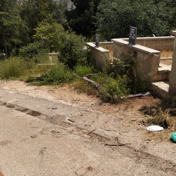 Asri Mezarlıkta Otların Aşırı Büyümesi Ve Böcek İstilası Temizlik Talebi