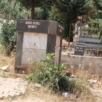 Asri Mezarlıkta Otların Aşırı Büyümesi Ve Böcek İstilası Temizlik Talebi