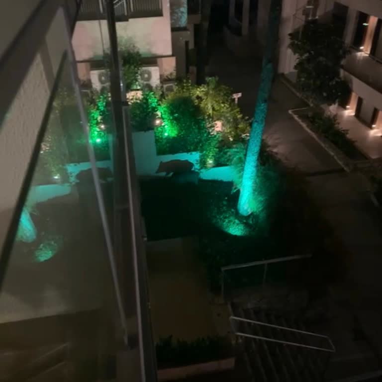 Orka Beach Otel’de Oda Önünde Domuz Görüşü Çocukların Güvenliğini Tehlikeye Attı