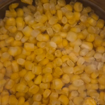 Superfresh Markalı Dondurulmuş Mısırda Çürük Taneler, Kalite Kontrol Eksikliği