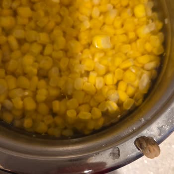 Superfresh Markalı Dondurulmuş Mısırda Çürük Taneler, Kalite Kontrol Eksikliği