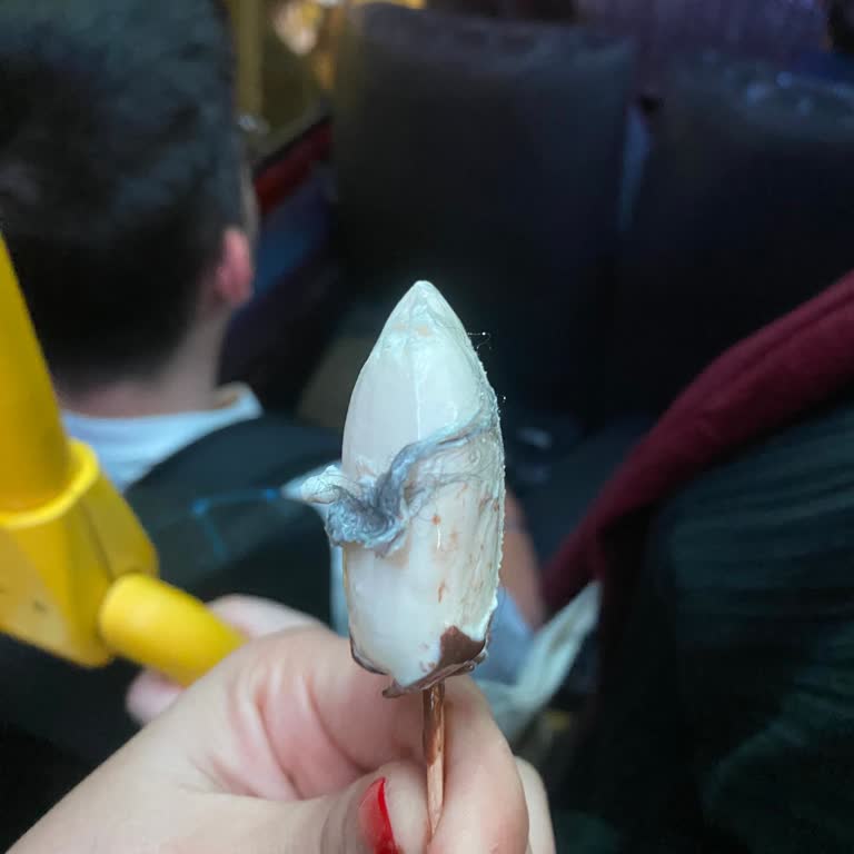 Migros Mini Dondurmasında Kıl Bulunması