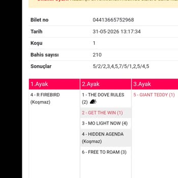 Türkiye Jokey Kulübü | Tjk Kupon Sonucu Direkt “Kaybetti” Olarak İşlenmiş