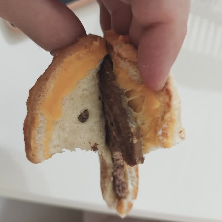 Talep Edilen Sadece Et Ve Ekmek Hamburgerinin Peynirli Gelmesi Ve Şikayet Kanalının Kapalı Olması