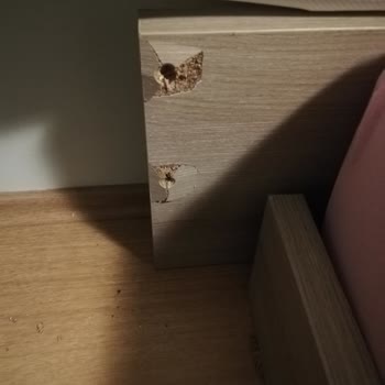Desteksiz Karyola Çöktü, Garanti Ve Servis Süreci Gecikti