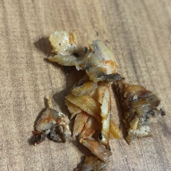 Bozulmuş Döner Ve Patates, İade Talebim Red Edildi
