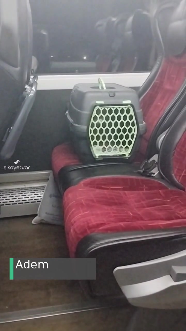 Aksaray Birlik Turizm Herkes Uzun Yolda Hayvanlar İle Aynı Koltukta Seyahat Etmek Zorunda mı? videonun kapak resmi