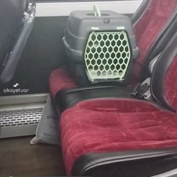 Aksaray Birlik Turizm Herkes Uzun Yolda Hayvanlar İle Aynı Koltukta Seyahat Etmek Zorunda mı?