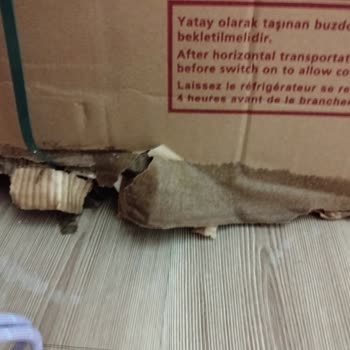 Islak Koli Ve Hasarlı Dondurucu Teslimatında Tam İade Talebi