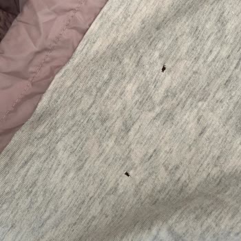 Yanıltıcı Satışla Gelen Kirli, Yırtık Ve Sigara Kokulu Yağmurluk
