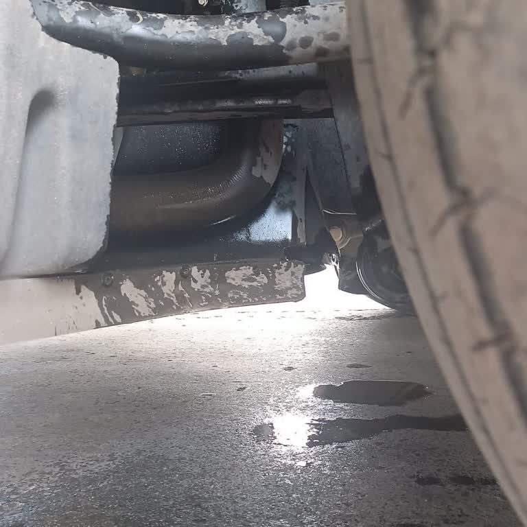 Ford Trucks Yetkili Servis İhmali Operasyonel Zarara Yol Açtı