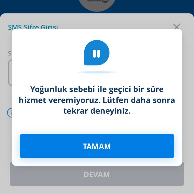 Yoğunluk Nedeniyle Mobil Uygulama Çöktü, Acil Hesap Kontrolü Engellendi