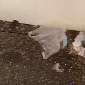 Konyaaltı Halk Plajı Kabin Hijyeninin Yetersizliği Ve Temizlik Sorunu