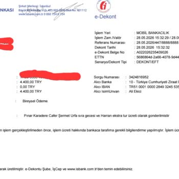 GAP Turunda Program ve Rehberlik Sorunları
