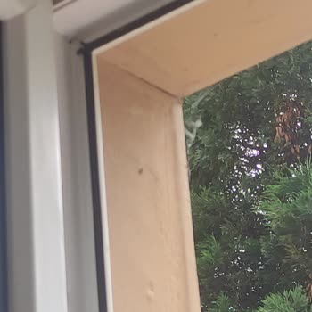 Yıllardır Aidat Ödeyen Müşterilerin Bakım Ve Güvenlik Eksikliği