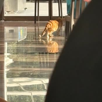 Otelin Otopark Ve Hizmet Eksiklikleri Konaklamamı Mahvetti