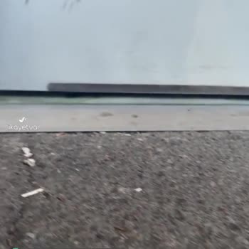 Paris Turu Günde 4 Saat Otel Yolculuğu Ve Böcekler İle Tatilbudur