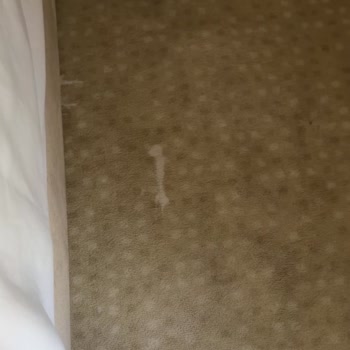 Ağva Mata Butik Otel'de Çamaşır Suyunu Su Zannederek İçtiğim Hayati Tehlike