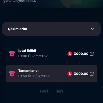 Free Spin Kazancım Silindi Ve 3.000 TL Çekimim Engellendi