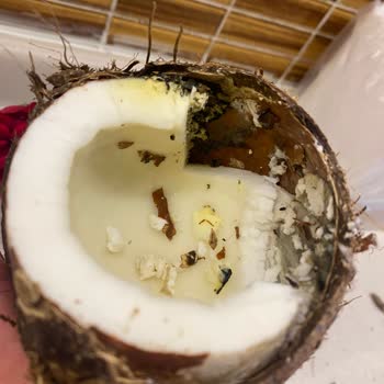 Şok Market Esertepe Şubesinde Küflü Hindistan Cevizi Satışı Ve Sağlık Riski