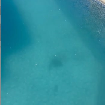 Sea Point Hotel Kuşadası’nda Hijyen Sorunları Ve Kaba Personel
