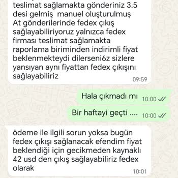 Shipentegra’da Kaybolan Gönderiler Ve Sürekli Gecikmeler