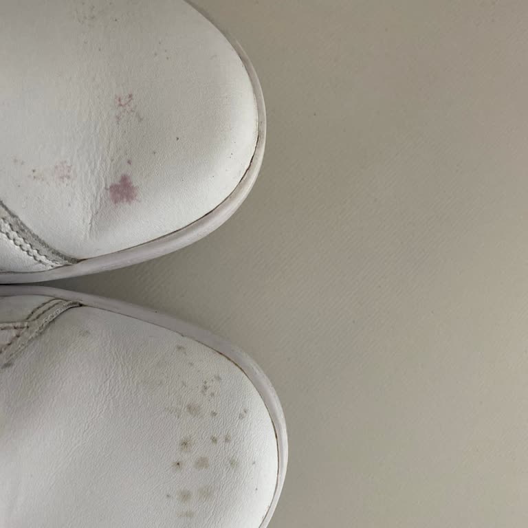Yeni Puma Ayakkabısındaki Kendiliğinden Leke Ve Cevapsız Müşteri Hizmetleri