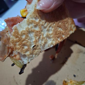 Saç Ve Kıl İçeren Hijyen Sorunlu Pizza, Trendyol'da İade Reddi