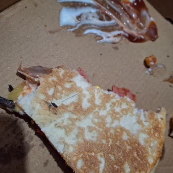 Saç Ve Kıl İçeren Hijyen Sorunlu Pizza, Trendyol'da İade Reddi