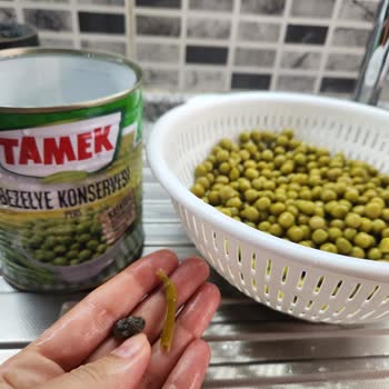 Tamek Peas Konservesinde Çıkan Taş Sağlık Tehdidi