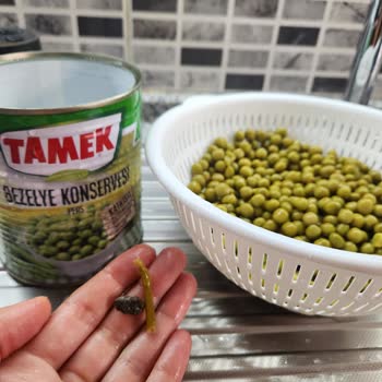 Tamek Peas Konservesinde Çıkan Taş Sağlık Tehdidi