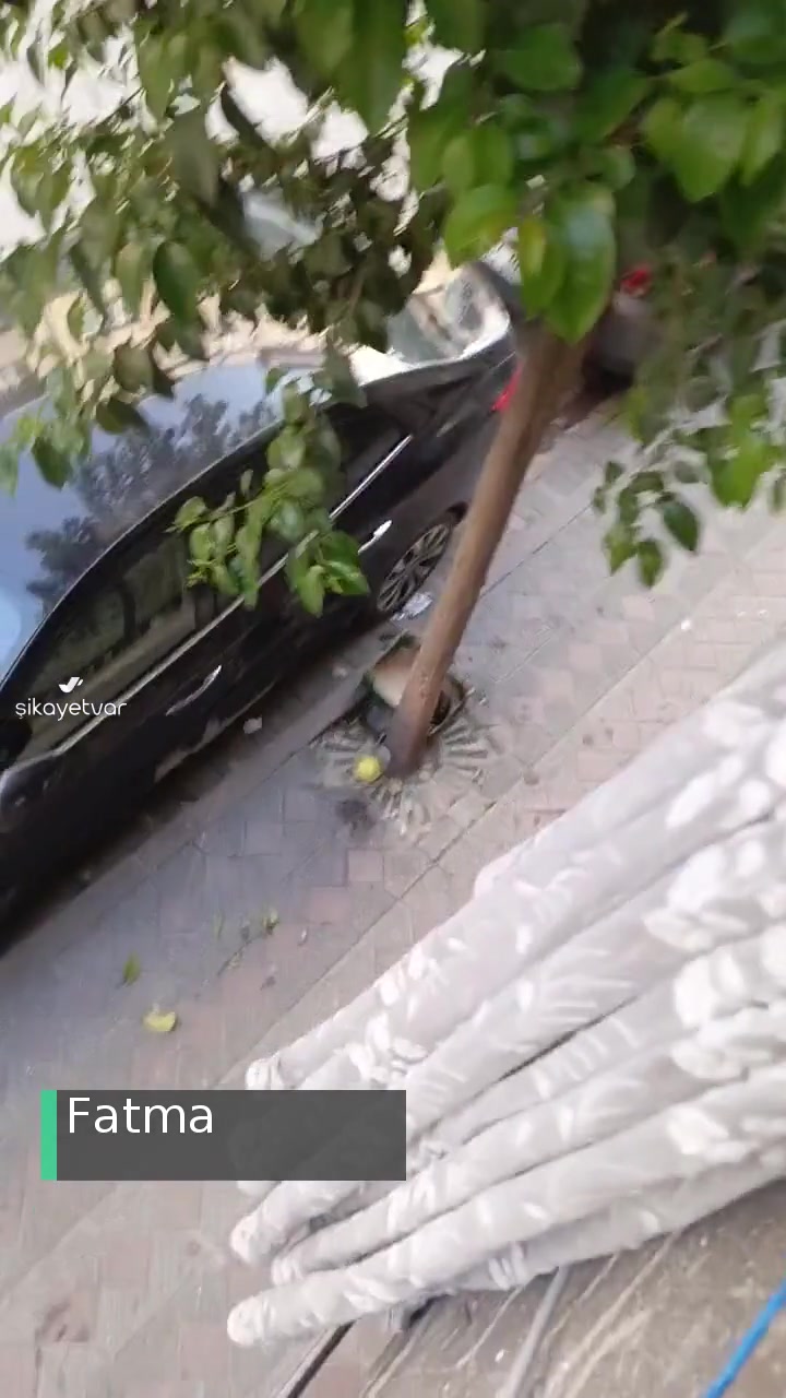 Sultangazi Belediyesi Uçuşan Böcekler, Sinekler videonun kapak resmi
