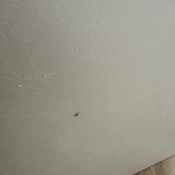 Düğün Öncesi Teslimat Gecikmesi Ve Kırık Ürünler Nedeniyle Memnuniyetsizlik