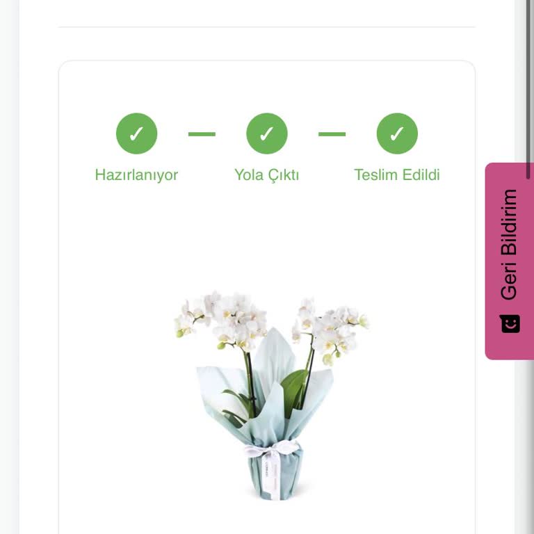 Teslim Edilmemiş Çiçek Siparişi İçin İade Talebi