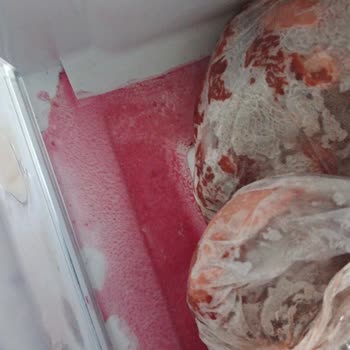 Sıfır Aldığım Derin Dondurucuda Tekrarlayan Motor Ve Soğutma Arızaları
