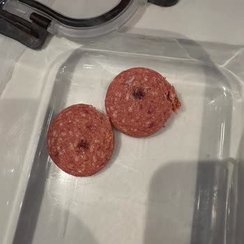 Torku Dana Sucukta Siyah Kir Benzeri Parçalar Görüldü