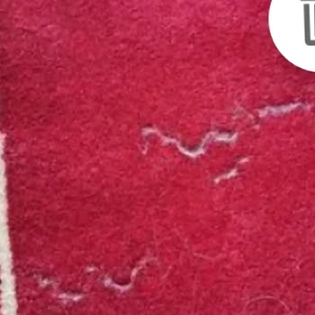 Arnica Dikey Süpürge Performans Sorunu Ve İade Talebi
