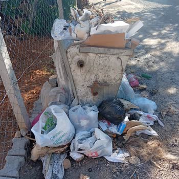 Kale Mahallesinde Çöp Toplama Sıklığının Yetersizliği Ve Kötü Koku Sorunu