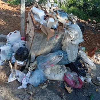 Kale Mahallesinde Çöp Toplama Sıklığının Yetersizliği Ve Kötü Koku Sorunu