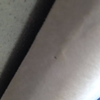 Erba Mobilya’nın Yırtık Kanepe Ve Yatağı İçin Cevapsız Şikayet