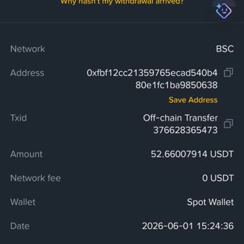 Binance Cannot Recover My USDT Sent To The Wrong BEP20 Address