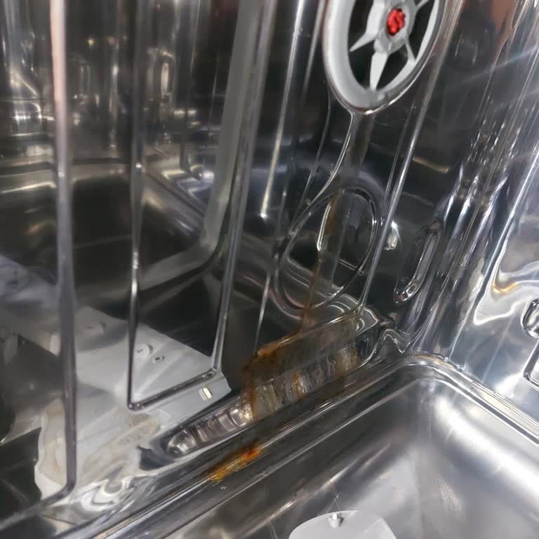 Pas Sızıntısı Ve Temizleme Sorunu Yaşayan Grundig Bulaşık Makinesi