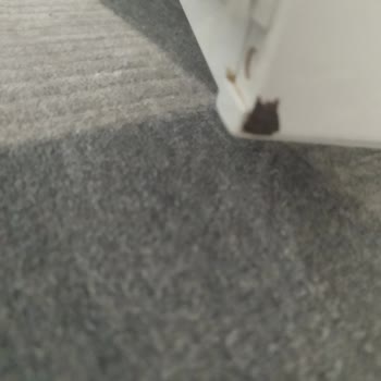 Çoklu Arızalar Ve Değiştirilemez Gövde Nedeniyle Vestel Buzdolabı Değişimi Talebi
